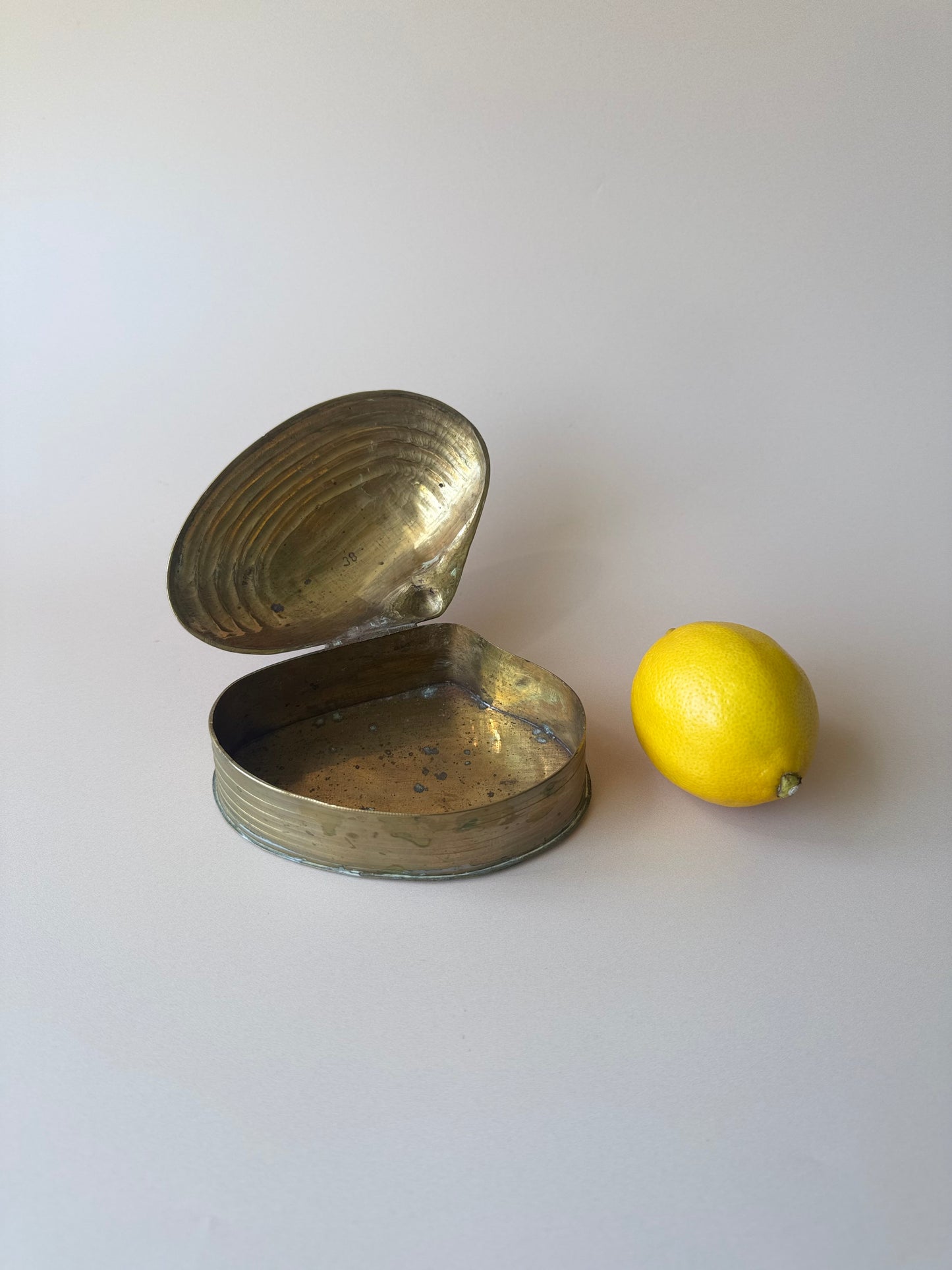 Brass Clam Jewelry Box