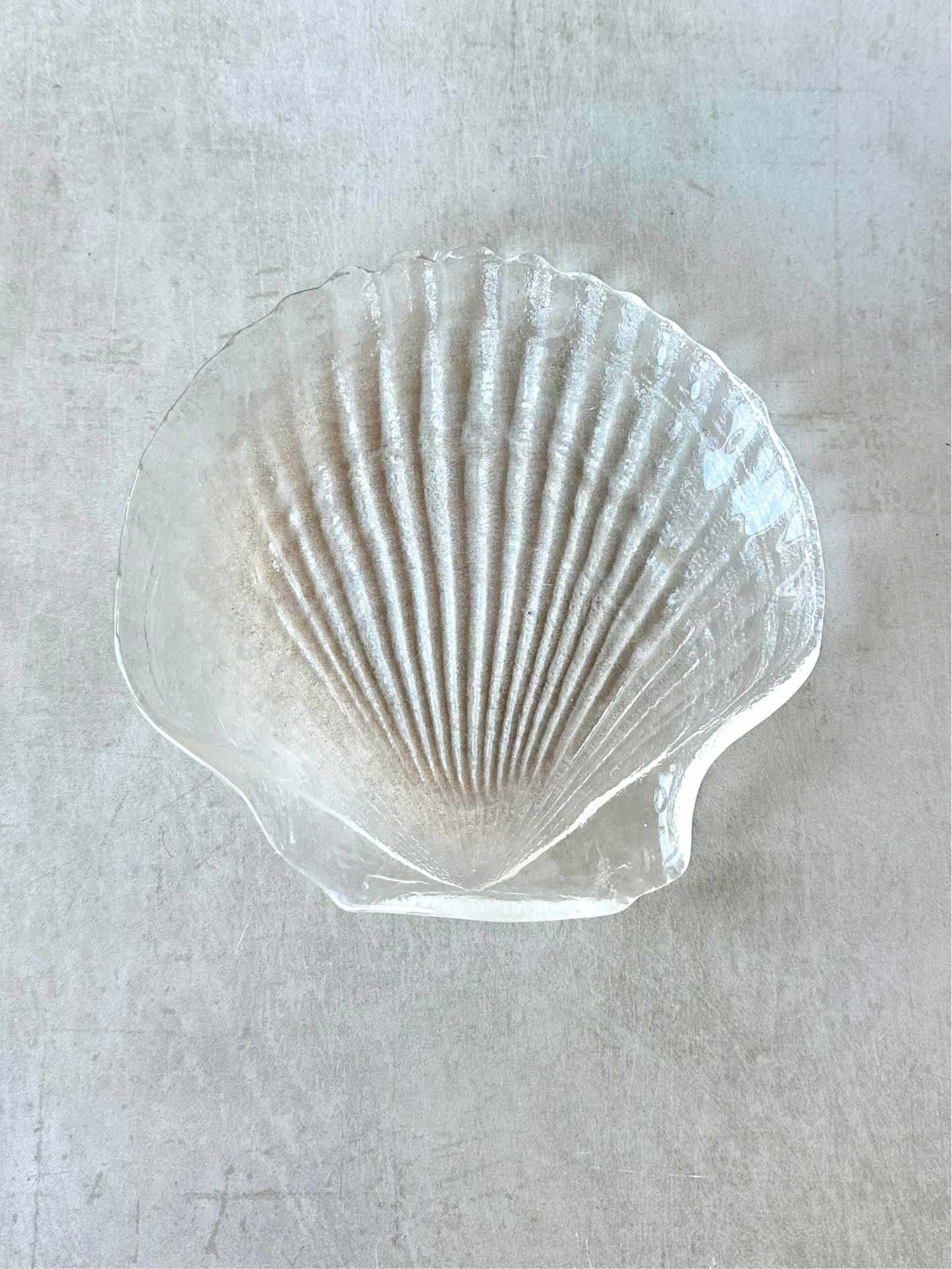 Arcoroc French Coquillage Appetizer Plates