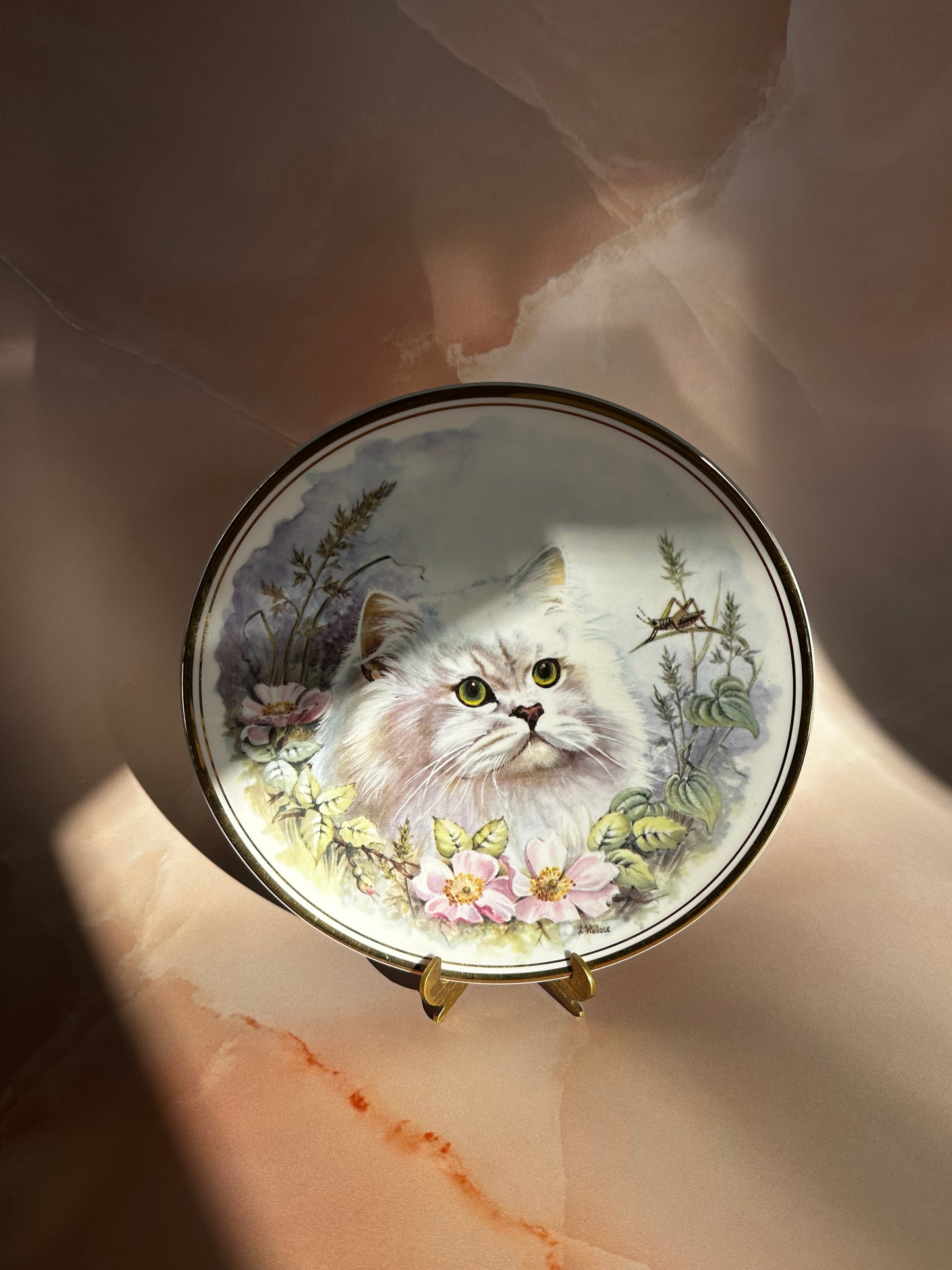 Royal Vale Bone China Cat Dish from England