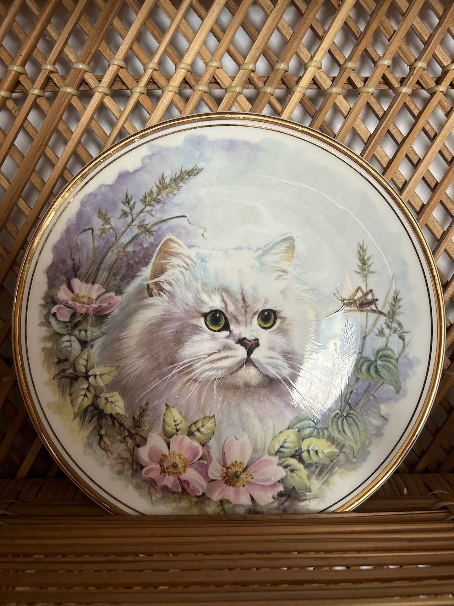 Royal Vale Bone China Cat Dish from England