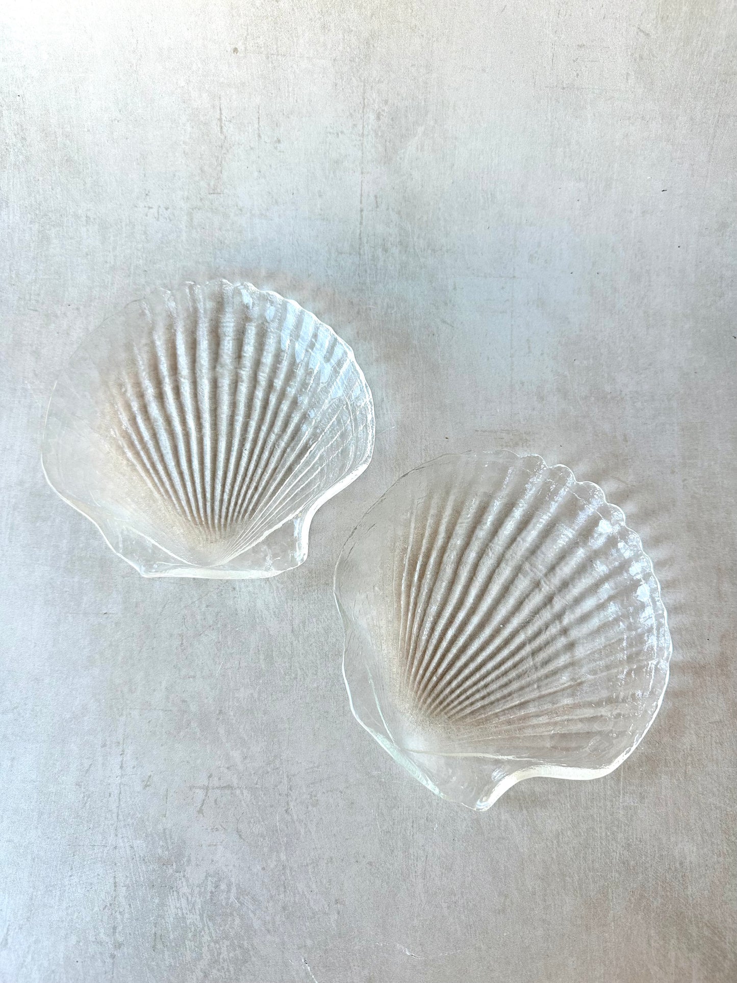 Arcoroc French Coquillage Appetizer Plates