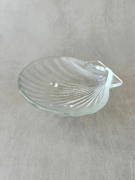Clam Coquillage Appetizer Plates