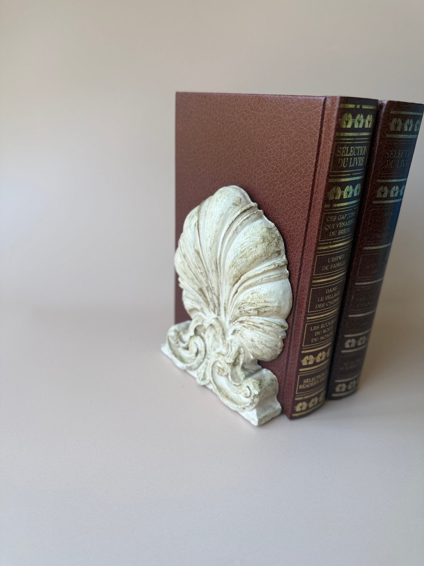 Single Wooden Seashell Bookend