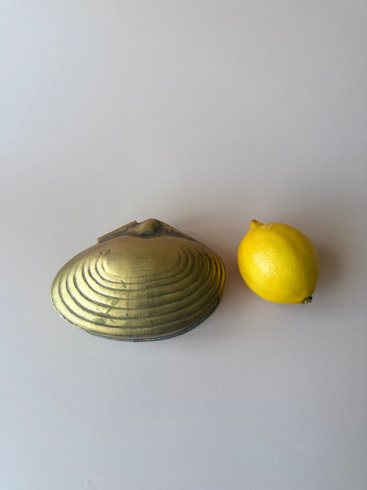 Brass Clam Jewelry Box