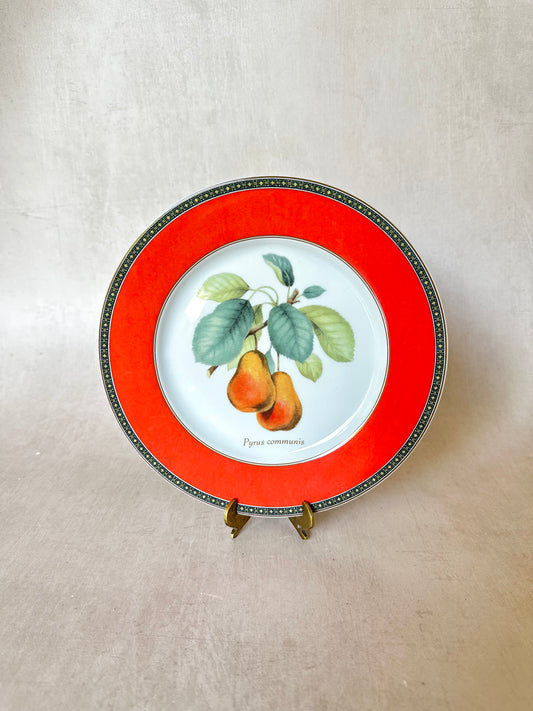 Fruit Odyssey Plate by Mikasa